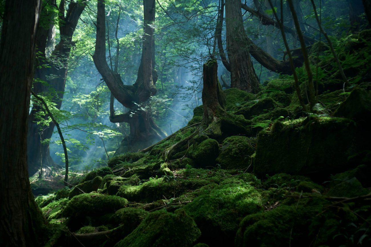 OKUYUKI　- DAICHI –